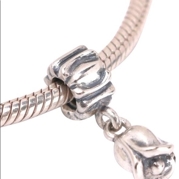 Authentic Pandora bracelet and charms - Picture 14 of 16